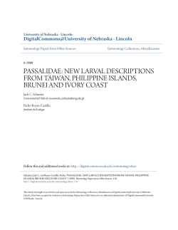 passalidae: new larval descriptions from taiwan, philippine islands