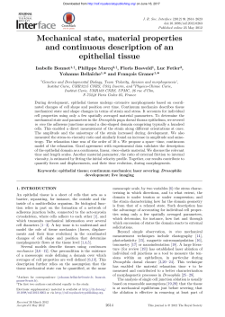 Mechanical state, material properties and continuous description of
