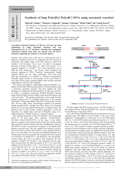 Synthesis of long Poly(dG)?Poly(dC) DNA using enzymatic reaction{
