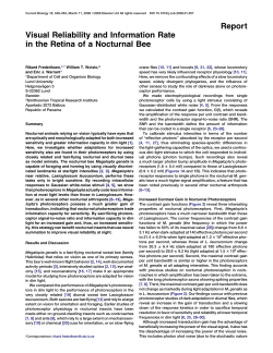 - Smithsonian Tropical Research Institute