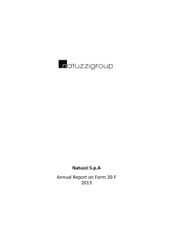 2013 Annual Report on Form 20F