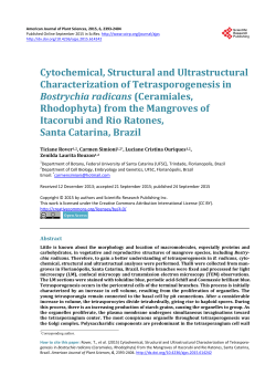 Cytochemical, Structural and Ultrastructural Characterization of