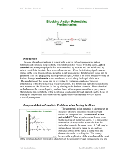 ANC: Section 1. Block AP