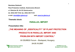SStobiecki_The meaning of identicality of ppp_ parallel