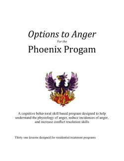 Options to Anger
