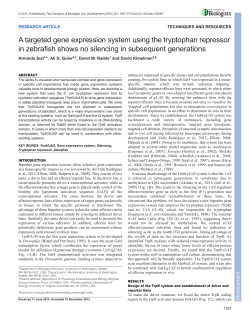 A targeted gene expression system using the