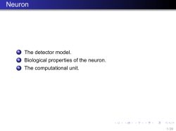 Neuron