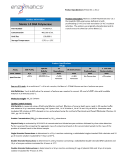 Manta 1.0 DNA Polymerase