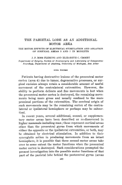 the parietal lobe as an additional motor area