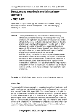 Structure and meaning in multidisciplinary teamwork
