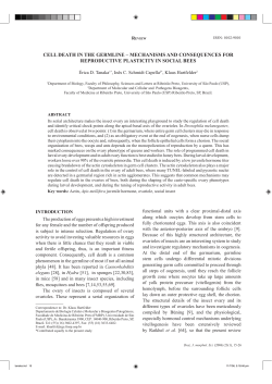 cell death in the germline &ndash; mechanisms and consequences for