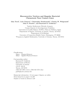 Bioconvective Vortices and Singular Bacterial Chemotaxis