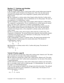 1.7 Amines and Amides Answers