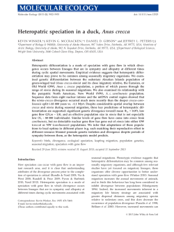 Heteropatric speciation in a duck, Anas crecca