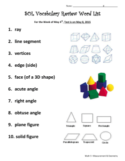 SOL Vocabulary Review Word List