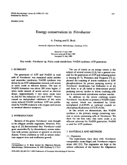 Energy conservation in Nitrobacter