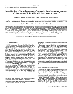 Identification of the polypeptides of the major light‐harvesting