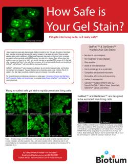 How Safe is Your Gel Stain?