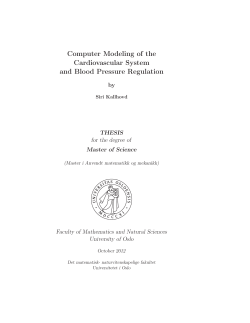 Computer Modeling of the Cardiovascular System and Blood