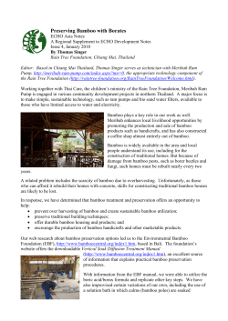 Preserving Bamboo with Borates