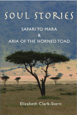 Soul stories.indb - Fisher King Press