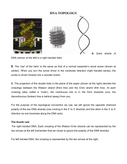 DNA TOPOLOGY
