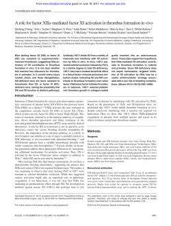 A role for factor XIIa&ndash;mediated factor XI activation in