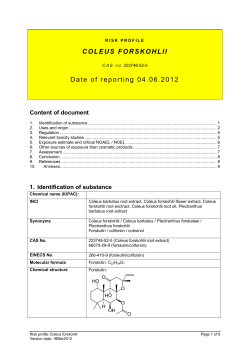 Date Of Reporting 04.06
