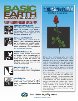 crimson clover - Grassland Oregon