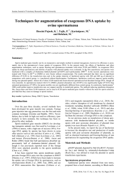 Techniques for augmentation of exogenous DNA uptake by ovine