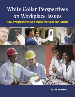 White Collar Perspectives on Workplace Issues