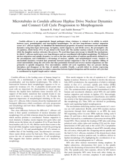 PDF Link