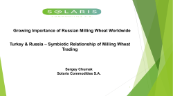 russian wheat