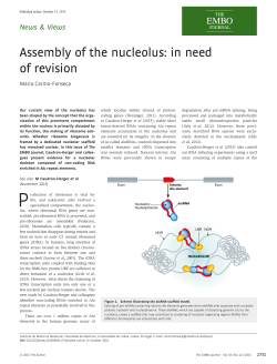 Assembly of the nucleolus: in need of revision