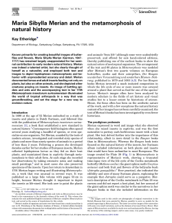 Maria Sibylla Merian and the metamorphosis of natural history