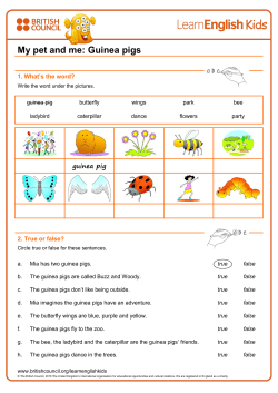 My pet and me: Guinea pigs - LearnEnglish Kids