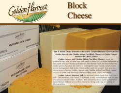 Golden Harvest Block Cheese POS