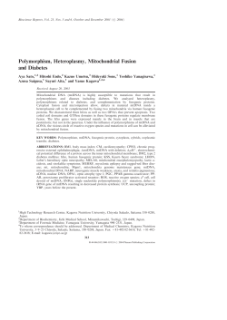 Polymorphism, Heteroplasmy, Mitochondrial Fusion and Diabetes