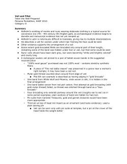 Red Wool Veil and Fillet