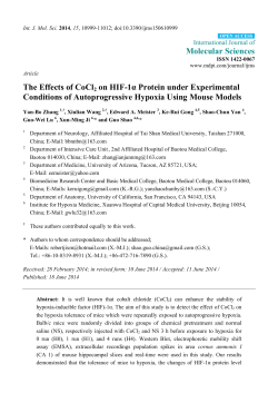 The Effects of CoCl2 on HIF-1α Protein under Experimental