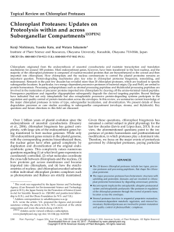 Chloroplast Proteases: Updates on Proteolysis