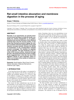 Rat small intestine absorption and membrane digestion in the