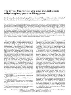 The Crystal Structures of Zea mays and