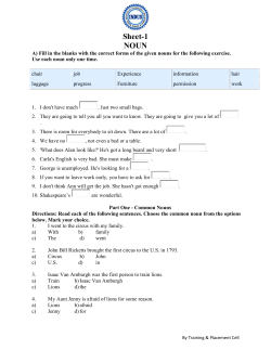 Noun Pronoun Practice Sheet