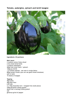 Tomato, aubergine, spinach and lentil lasagne