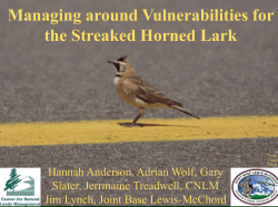 Managing around Vulnerabilities for the Streaked Horned Lark