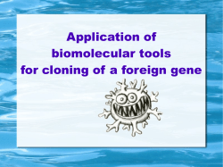 Application of biomolecular tools for cloning of a foreign gene