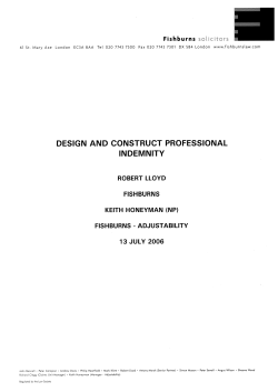 design and construct professional indemnity