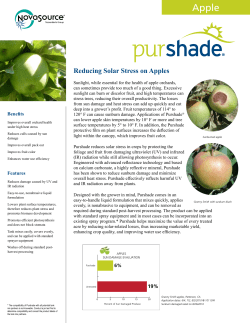 Apple Information Sheet