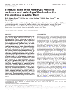Structural basis of the mercury(II)-mediated conformational switching